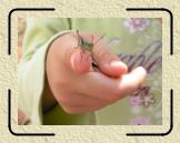 Mofarennen 2006 080 * 1600 x 1200 * (580KB)